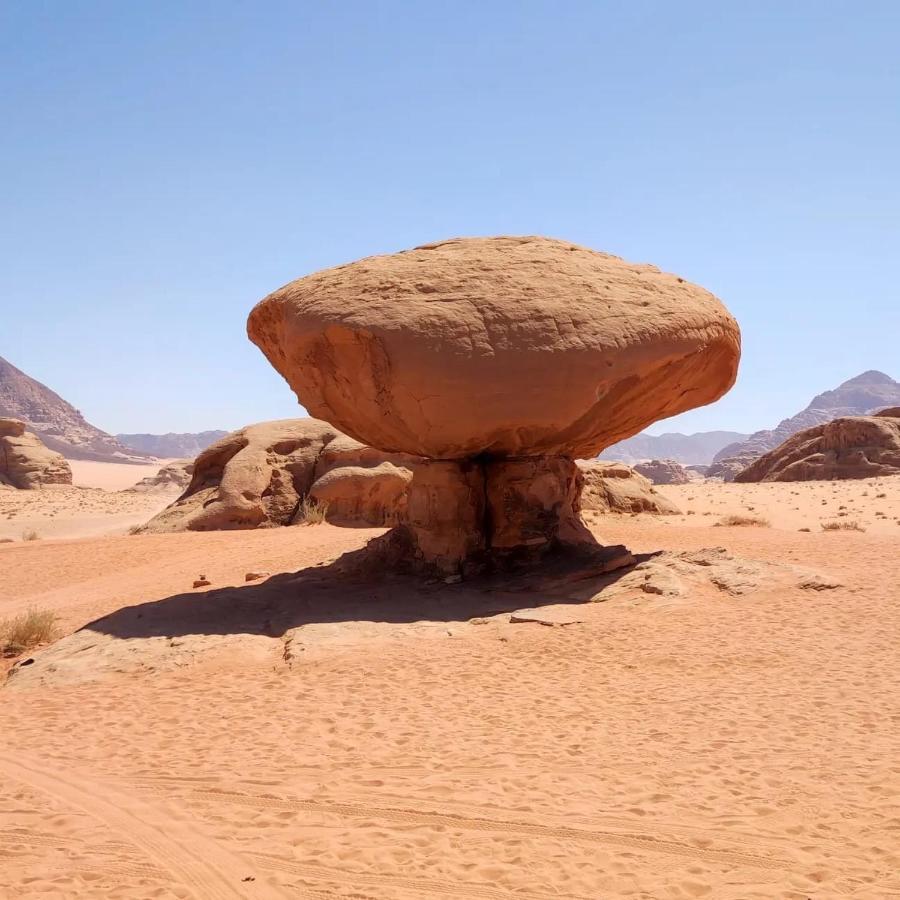 Wadi Rum Story المظهر الخارجي الصورة