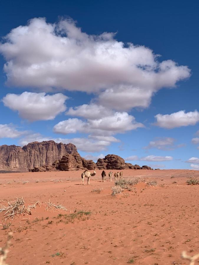 Wadi Rum Story المظهر الخارجي الصورة