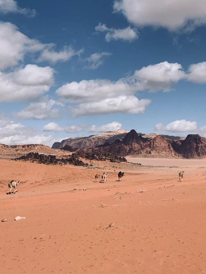 Wadi Rum Story المظهر الخارجي الصورة