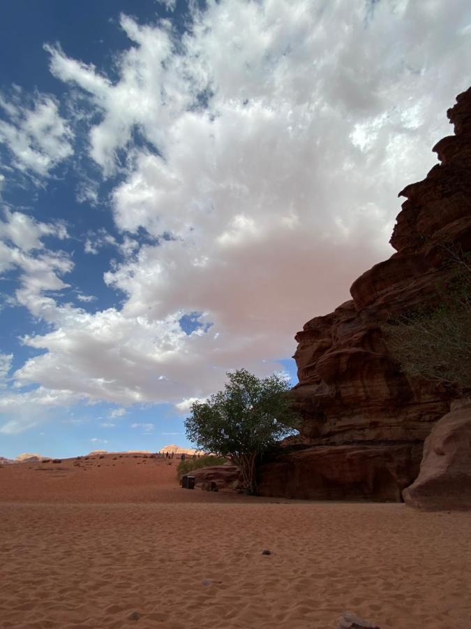 Wadi Rum Story المظهر الخارجي الصورة